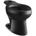 Kohler K-4303-L-7 Wellworth Pressure Lite Toilet Bowl with Bed Pan Lugs  Black Black - B001ULWBFA